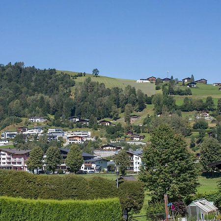 Ski Dome Appartements&Holiday Chalet Kaprun Buitenkant foto